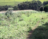 Land for Sale in Nyamira